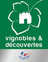 Logo vignoble & decouverte